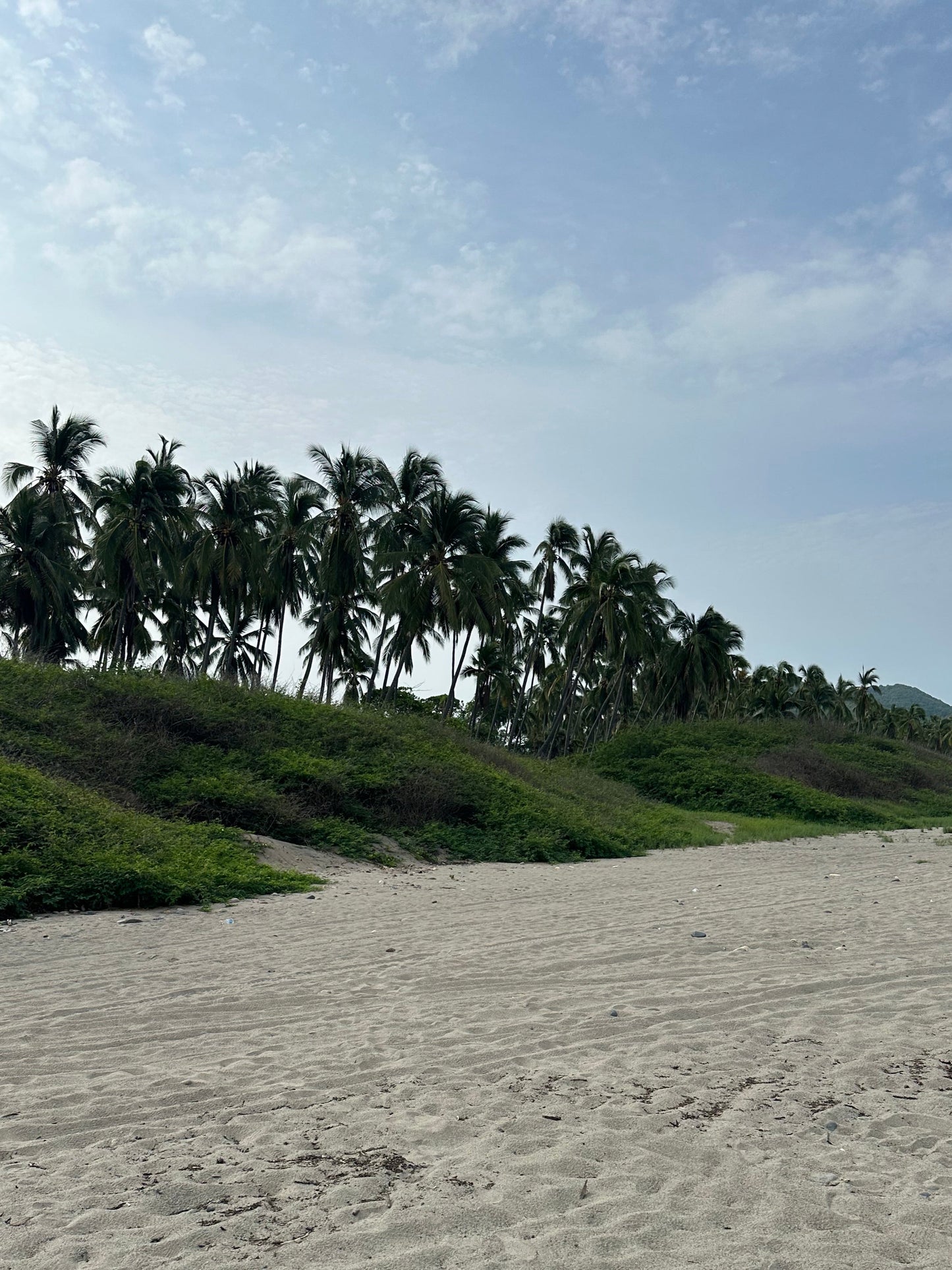 (STEP 2) L17 EOI Deposit + Early Access to Paradise